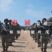 忠诚是什么模样？这是他们的答案！