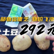 加沙北部3个土豆292元