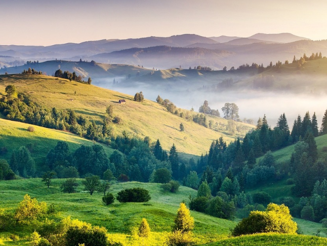 湘西州连续4个月外贸增幅全省第一