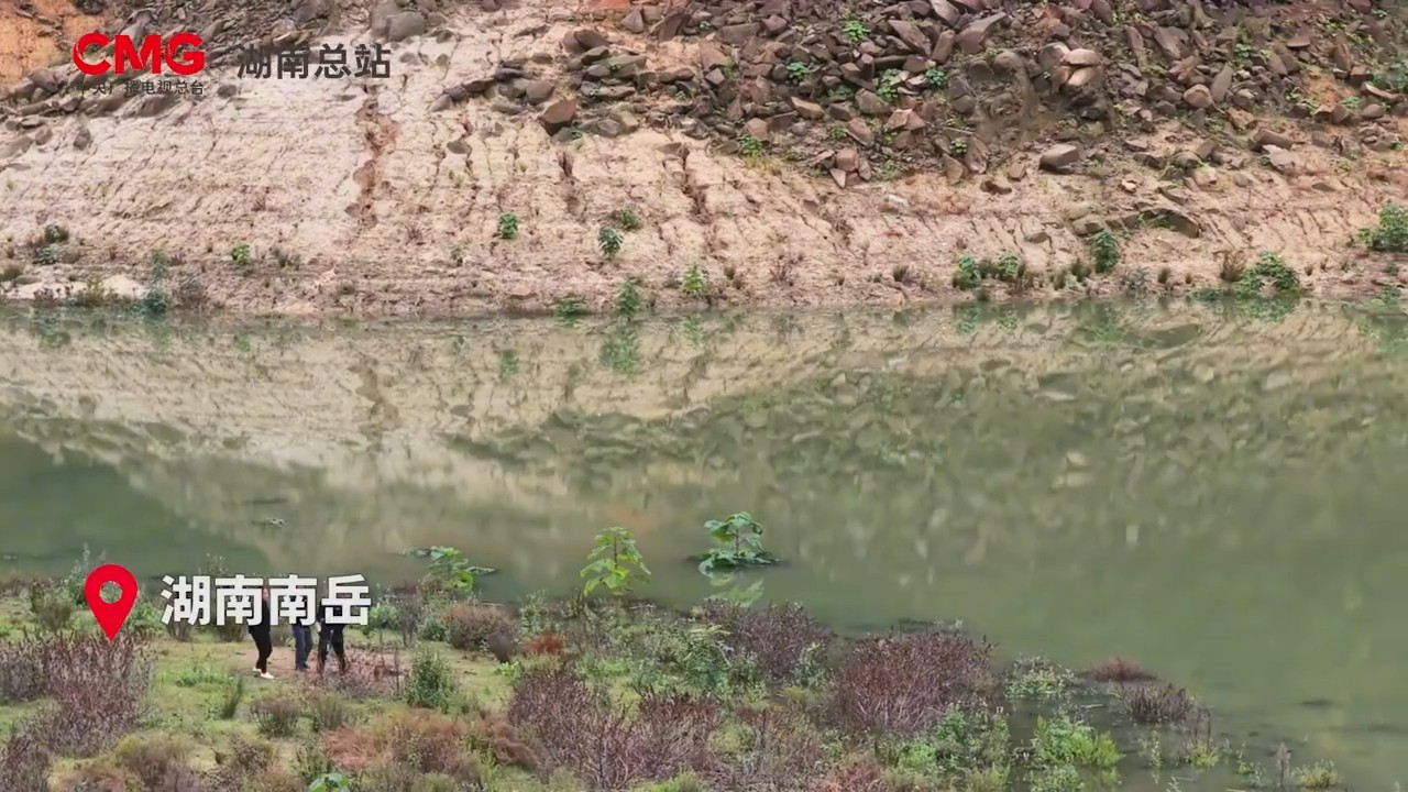 衡山偷拍到“爱情鸟”撒糖现场