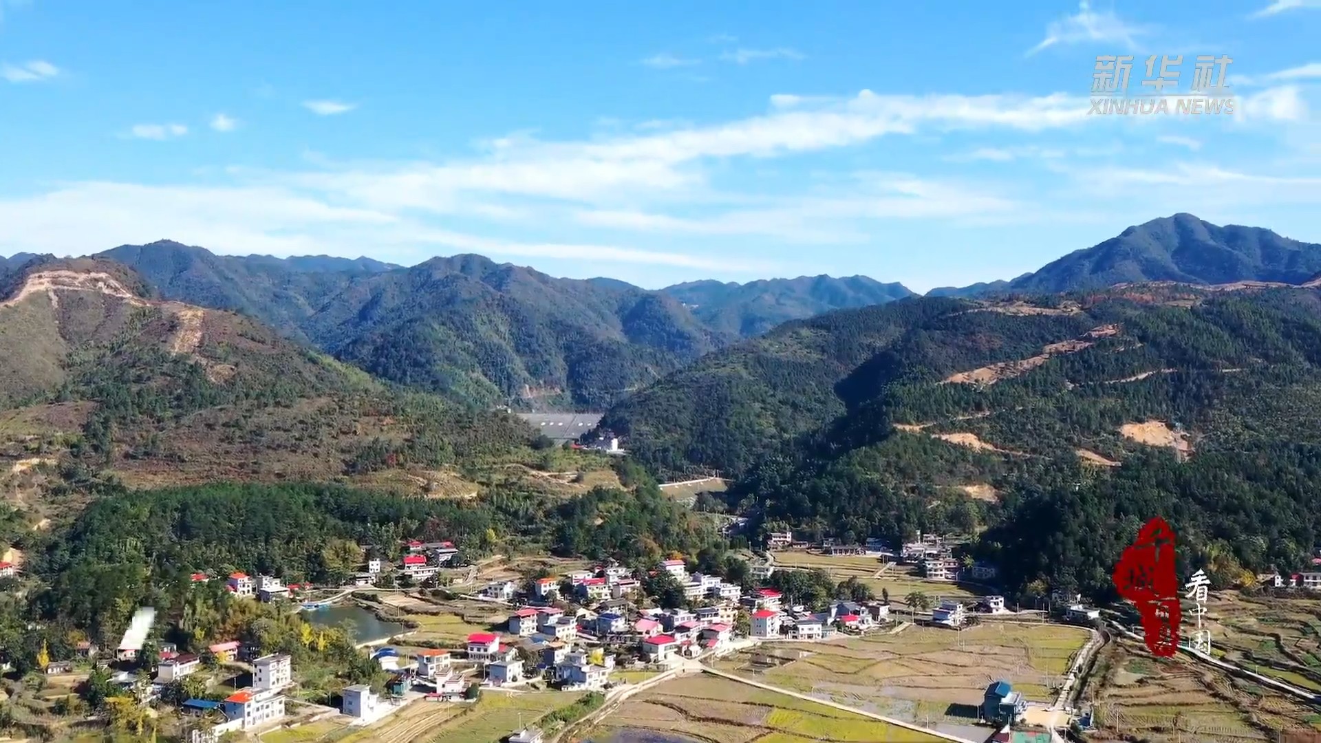 东安：“树说”和美乡村