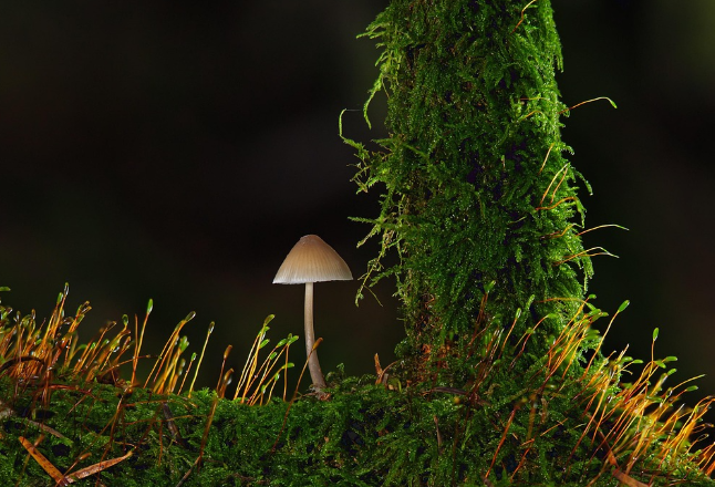 湖南疾控温馨提示：把好“入口关”，健康过佳节