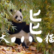 当汉字回归自然，珍爱每一抹生命的色彩