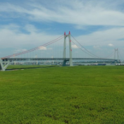 湖南岳阳：揽“江湖”入卷　谱文旅新篇