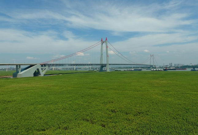 湖南岳阳：揽“江湖”入卷　谱文旅新篇