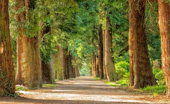 2025年度全国党建引领乡村治理典型案例公布，湖南一例入选