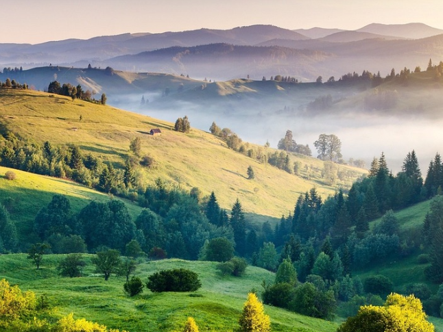 双牌县：古树名木“正青春”