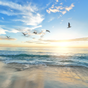 重磅丨湖南2025年推动高质量发展大抓落实成效明显地区名单公布