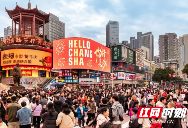 评论区亮了丨所谓“长红体质”，就是把每一次偶然的满意，变成必然的信任