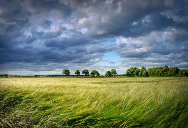 湖南今明两天多阴雨天气 部分地区有暴雨局地阵风达7至9级