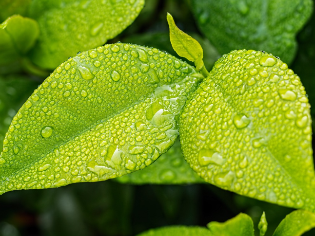 惊蛰到，湖南雷电预警发布量达到雨水节气近5倍