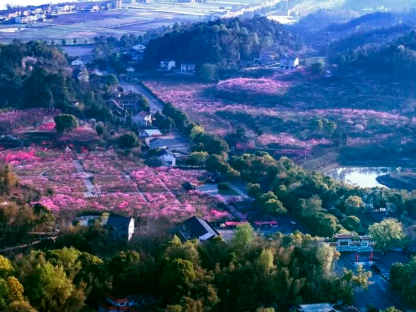 今日惊蛰｜湖南人的春日生活指南→