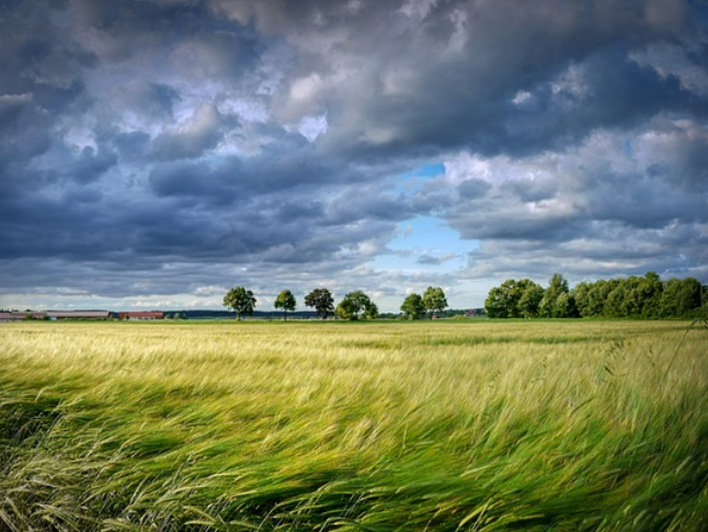 今天全省大部分地区以多云天气为主 湘西北局地阵雨