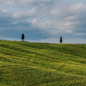 湖南省民政厅省文明办发出倡议:低碳环保祭扫 共树文明新风