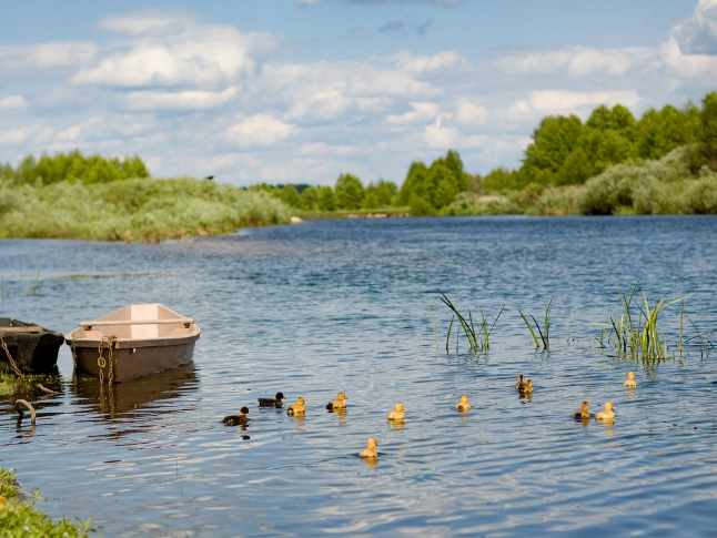 湘潭官宣！中小学春秋假安排出炉