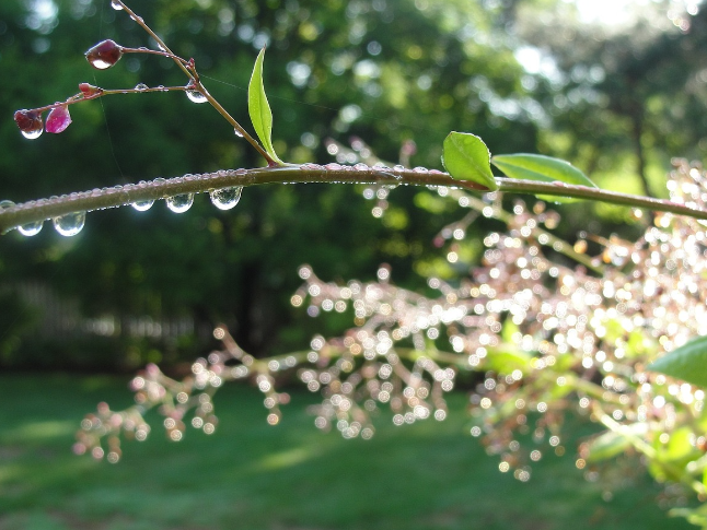 五一连休升级！邵阳中小学春假安排确定