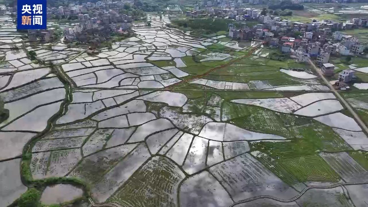 蓝山变身“白鹭机场”