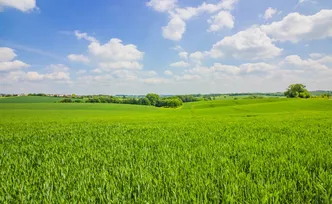 央媒看湖南 | 孤寡老人的“好闺女”