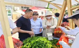 湖南攸县：太空育种辣椒成“致富密码”