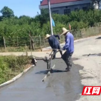 资阳区迎风桥镇：乡贤捐资修路  乡间小道变坦途