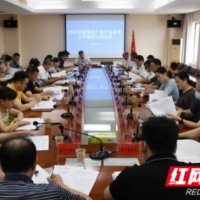 益阳市广告产业发展工作领导小组会议召开