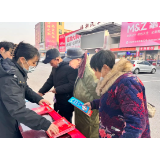 临湘市司法局开展“行政复议法宣传月”集中宣传活动