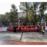 临湘市长安司法所开展“国家宪法日”宣传活动