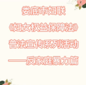娄底市妇联《妇女权益保障法》普法宣传系列活动之反家庭暴力篇