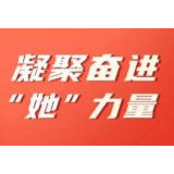 巾帼风采绽芳华 凝聚奋进“她”力量 | 金晓慧：初心不改强担当 笃行不怠讲奉献