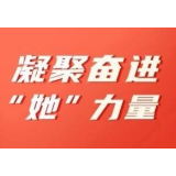 巾帼风采绽芳华 凝聚奋进“她”力量 | 衡阳市司法局合同审查与法律事务科：  初心如磐  奋楫笃行