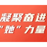 巾帼风采绽芳华 凝聚奋进“她”力量 | 石菊秀：小所长大作为