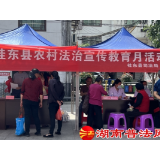 桂东县：民法典宣传月“典亮”法治新农村