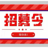 等您来！保靖县招募大学生普法志愿者啦！