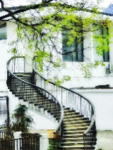 【摄影类三等奖】《春韵》 湖南省新开铺强戒所 李畅