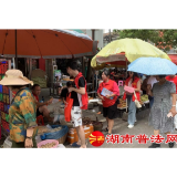 资兴市司法局兴宁司法所组织大学生开展“送法下乡”活动