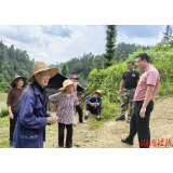 普法强基，我们在行动——龙山县司法局水田坝司法所开展农村法治宣传月系列活动