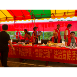 桃江县司法局：法律进乡村  护蕾助成长