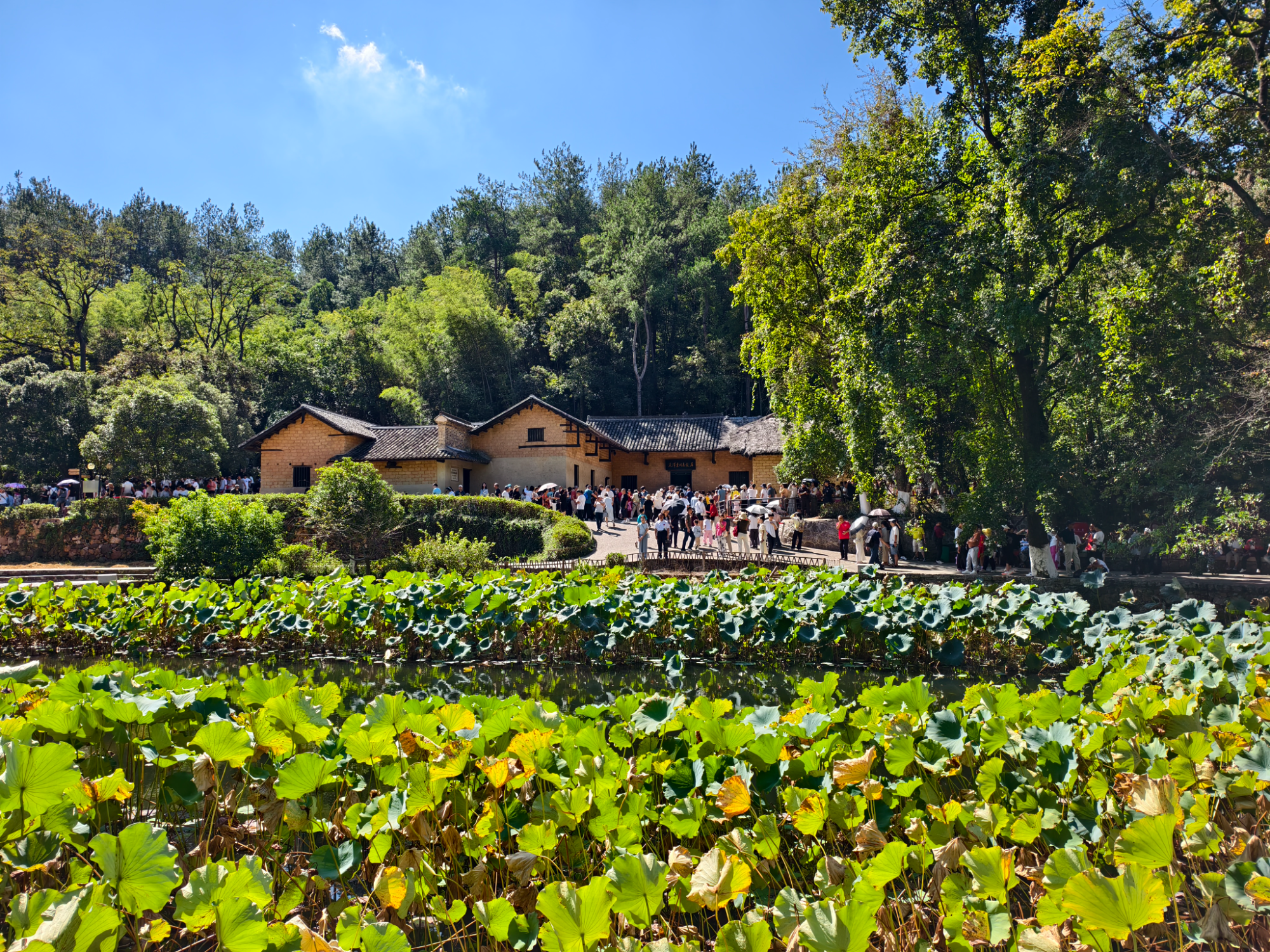 “智慧”+“暖心” 韶山国庆假期多措并举提升游客满意度