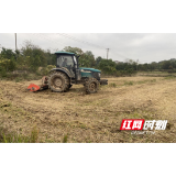 岳塘区板塘街道:秸秆还田 变身“绿色财富”