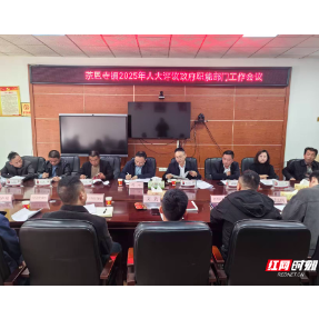 湘潭县茶恩寺镇人大评议政府职能部门工作 搭建政府与群众沟通桥梁