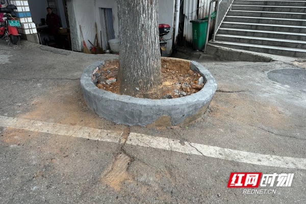 微信图片_20251211183023_332_216_副本.jpg 微信图片_20251211183023_332_216_副本.jpg