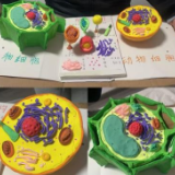 湘潭市第三中学高一年级细胞模型建构大赛让“学科实践化、学习创造化”