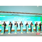 这里是绿心②丨小产业大作为 绿心深处的“繁星”聚变