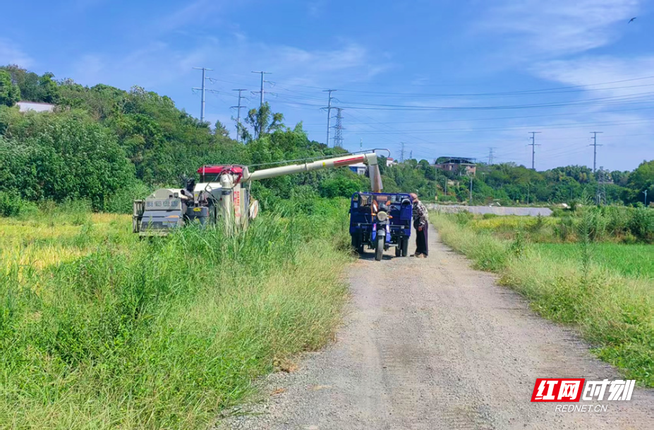 岳塘区新华村：荒地变“聚宝盆” 村民共享“发展果”