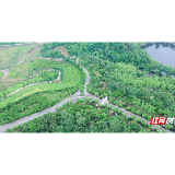 岳塘区:铺就乡村振兴“幸福路” 筑牢群众出行“安全网”