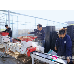 湘潭县石潭镇：育秧“科技范”助力春耕“加速度”
