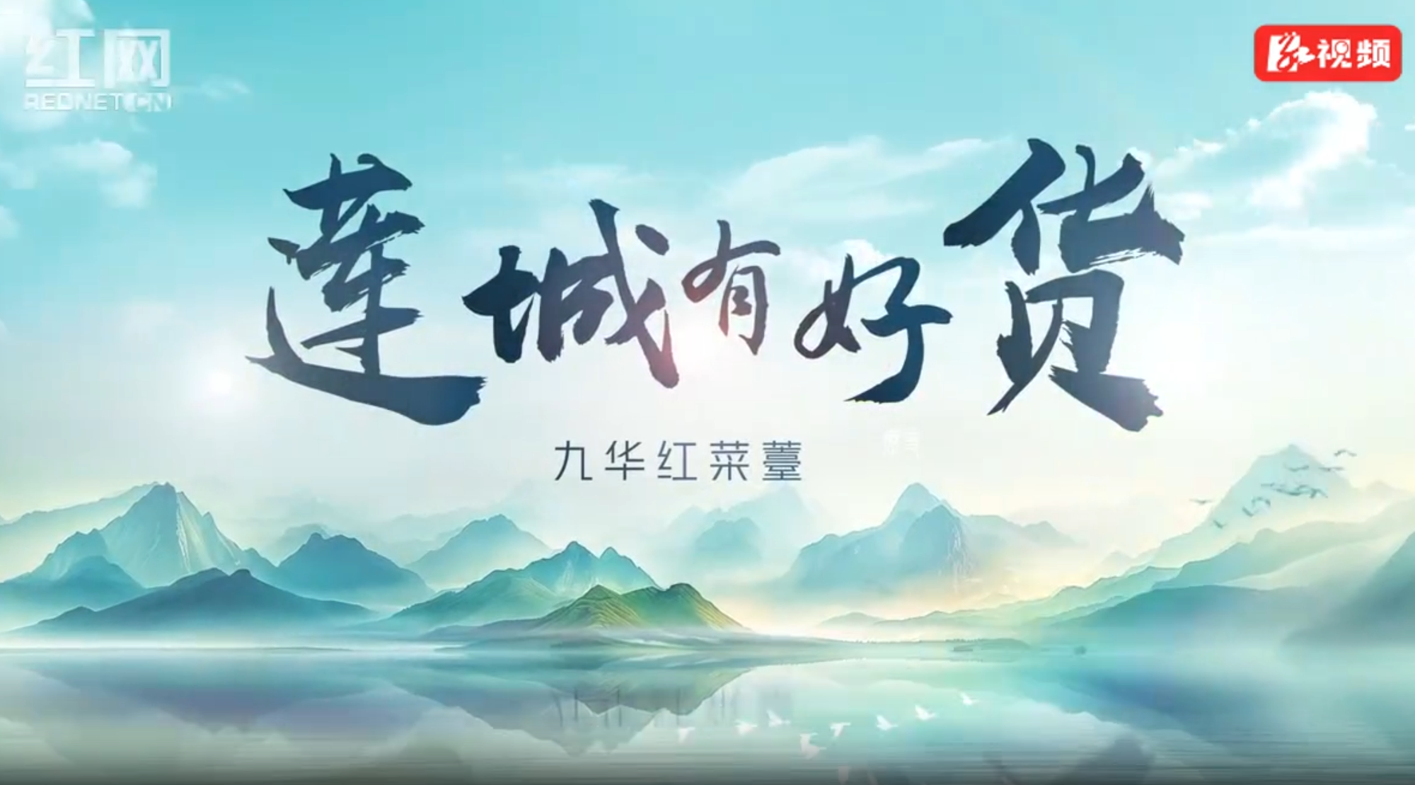 莲城有地标好货丨九华红菜薹