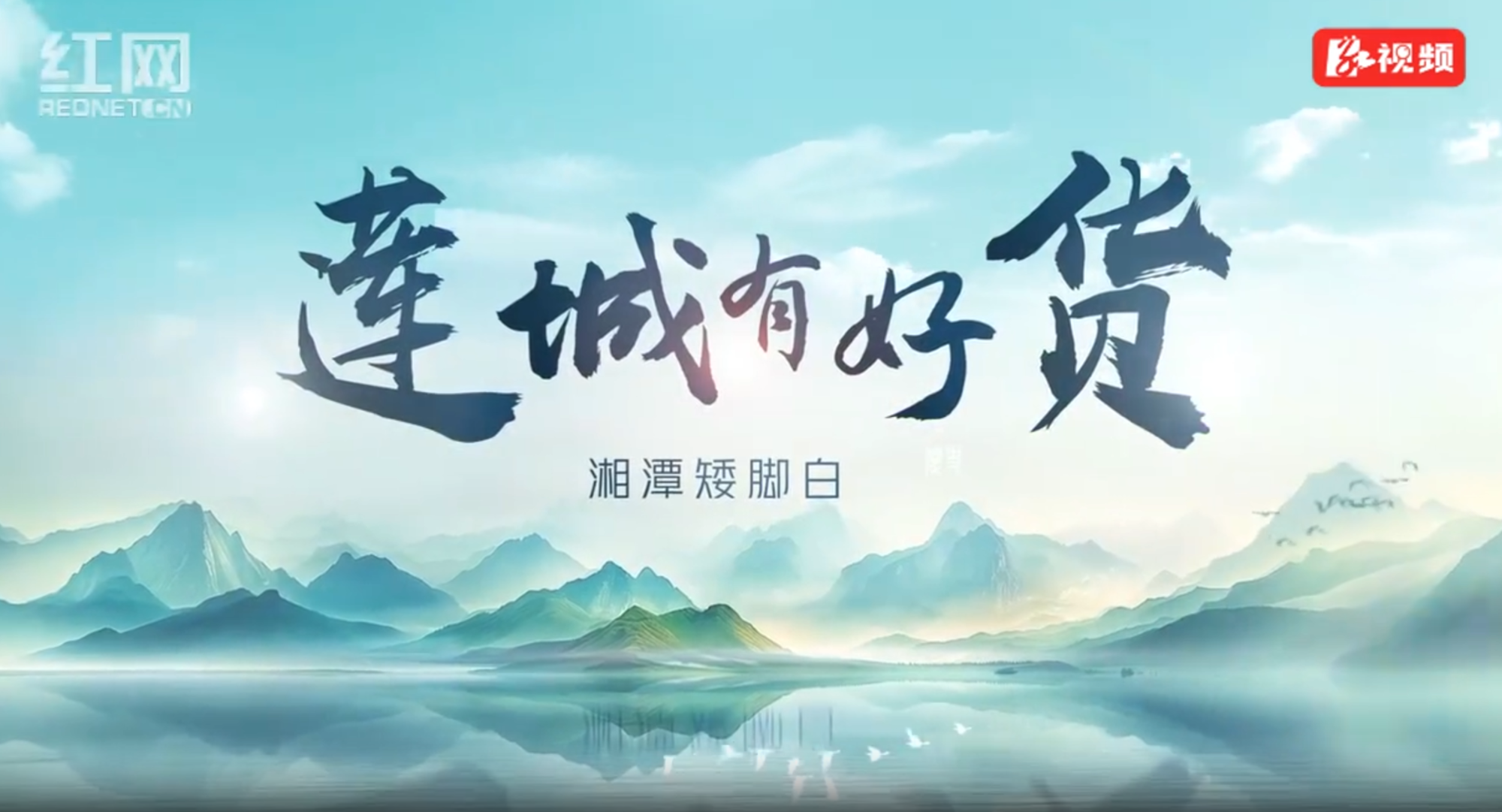 莲城有地标好货丨湘潭矮脚白