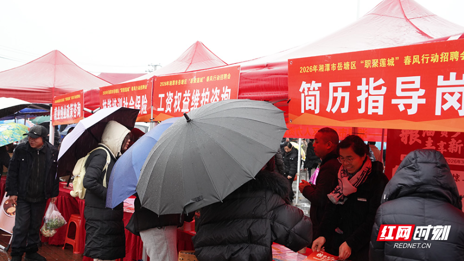 新春走基层 | 2026年岳塘区春风行动“职聚莲城”首场招聘会提供就业岗位1085个