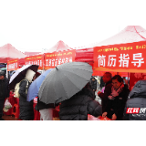 新春走基层 | 2026年岳塘区春风行动“职聚莲城”首场招聘会提供就业岗位1085个